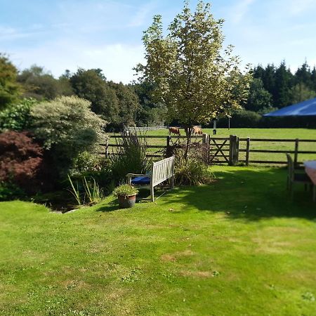 Woodlands Cottage Farm Wickham Εξωτερικό φωτογραφία