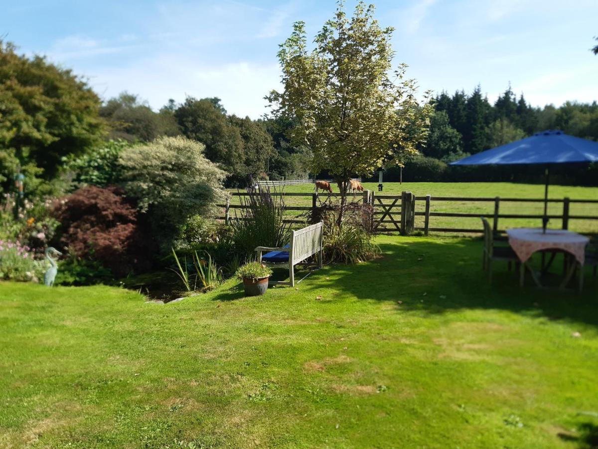 Woodlands Cottage Farm Wickham Εξωτερικό φωτογραφία