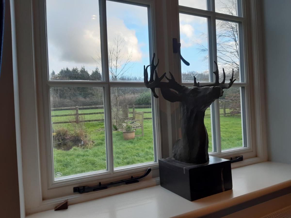 Woodlands Cottage Farm Wickham Εξωτερικό φωτογραφία